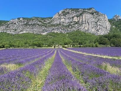 Escalade en falaise : un nouveau modèle de conventionnement expérimenté dans la Drôme Escalade en falaise : un nouveau modèle de conventionnement expérimenté dans la Drôme